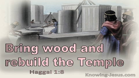 Haggai 1:8 Bring Wood And Rebuild The Temple (gray)